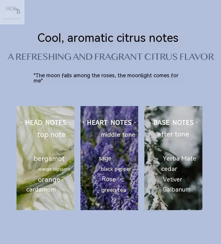Aromatic Citrus Aromatic Perfume Long-lasting Perfume Home Decorating & Beauty Perfumes Perfumes Home Decorating & Beauty