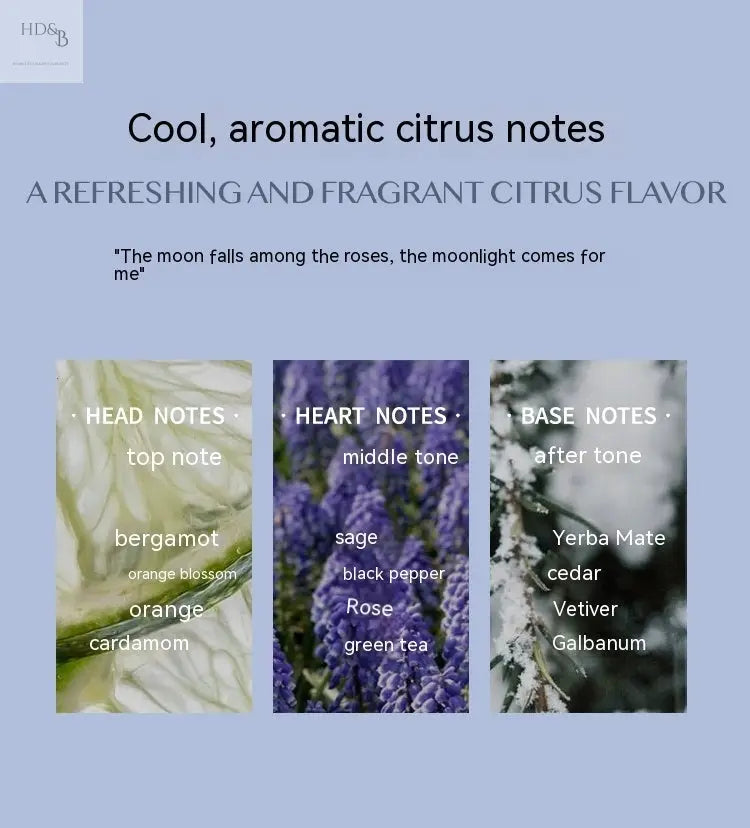 Aromatic Citrus Aromatic Perfume Long-lasting Perfume Home Decorating & Beauty Perfumes Perfumes Home Decorating & Beauty